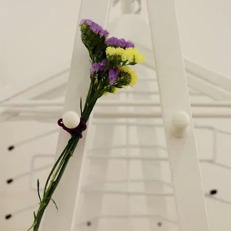 Apartament Arco Da Graça Downtown