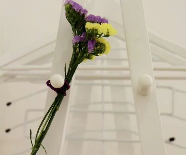 Διαμέρισμα Arco Da Graca Downtown